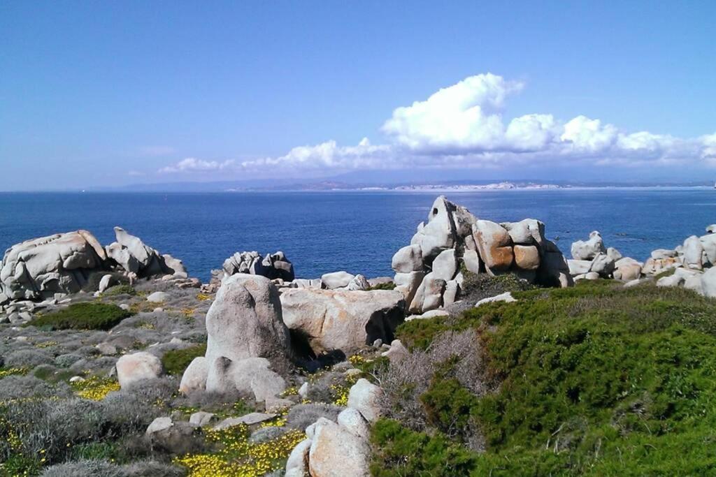 Una Splendida Terrazza Sul Mare Santa Teresa Gallura Bagian luar foto